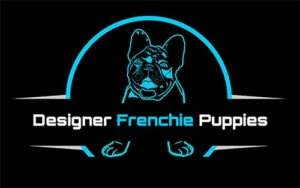 Designer Frenchie Puppies for sale near me